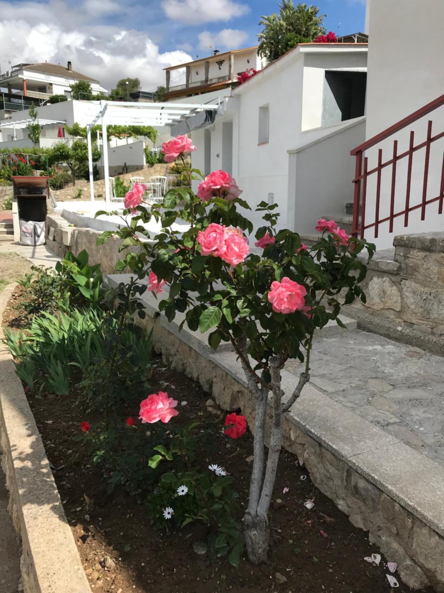 Villa Campagne Luxueuse De Sitges Olivella Exterior foto